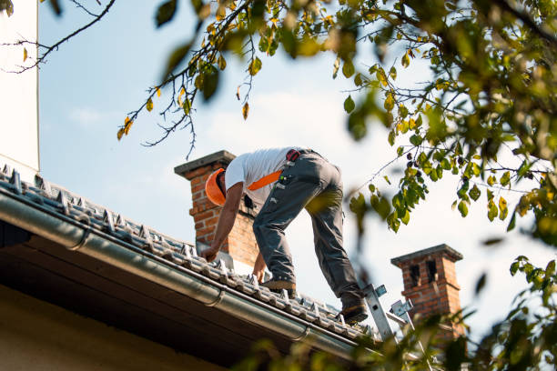 Roof Gutter Cleaning in Hacienda Heights, CA